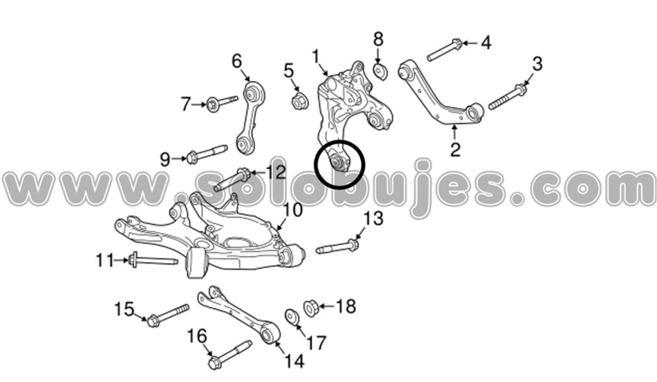 Buje portamangueta Edge 2016 catalogo