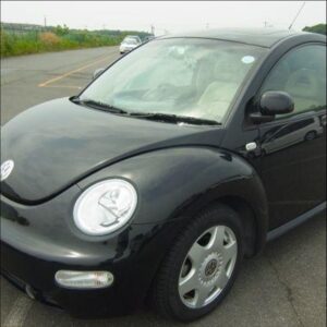 Beetle 2001