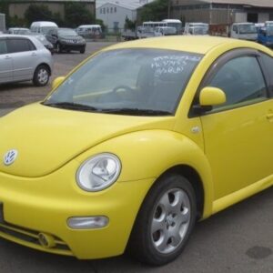 Beetle 2002