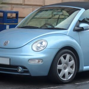 Beetle 2003