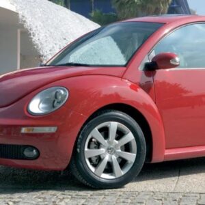 Beetle 2005