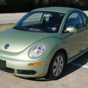 Beetle 2008