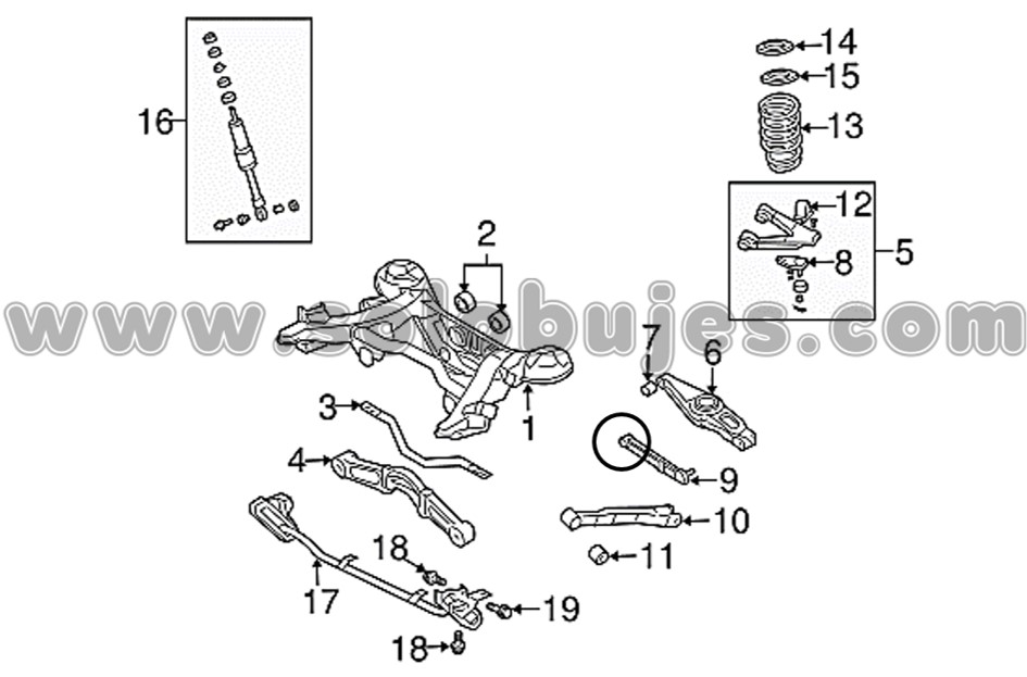 Buje rotula trasera Montero 2020 catalogo