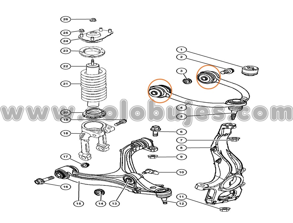 Buje tijera superior Grand Cherokee 2019 catálogo