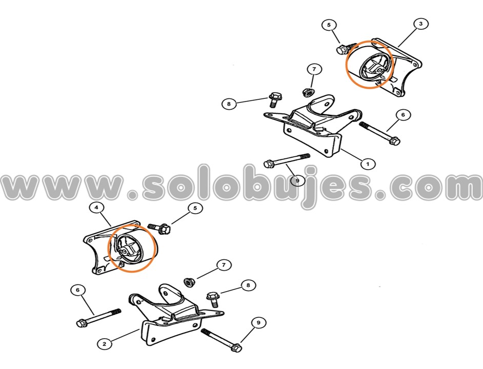 Buje soporte motor diesel Laredo 2000 catálogo