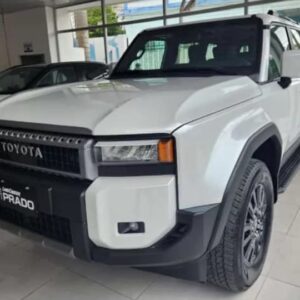 Prado 2025