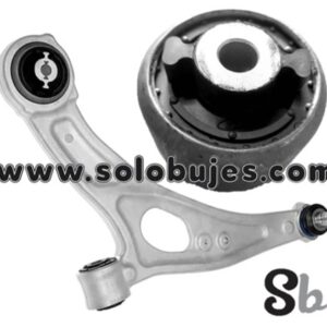 Buje puño Bronco 2021