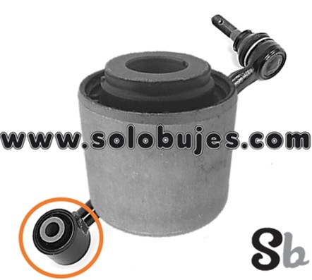 Buje rotula trasero Legacy 2012