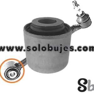 Buje templete Impreza 2012