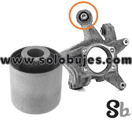 Buje portamangueta Outback 2014