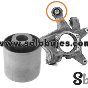 Buje portamangueta Outback 2025