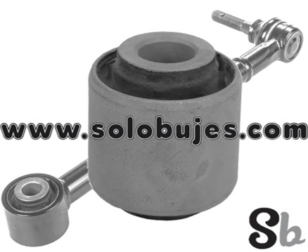 Buje rotula trasero Outback 2023