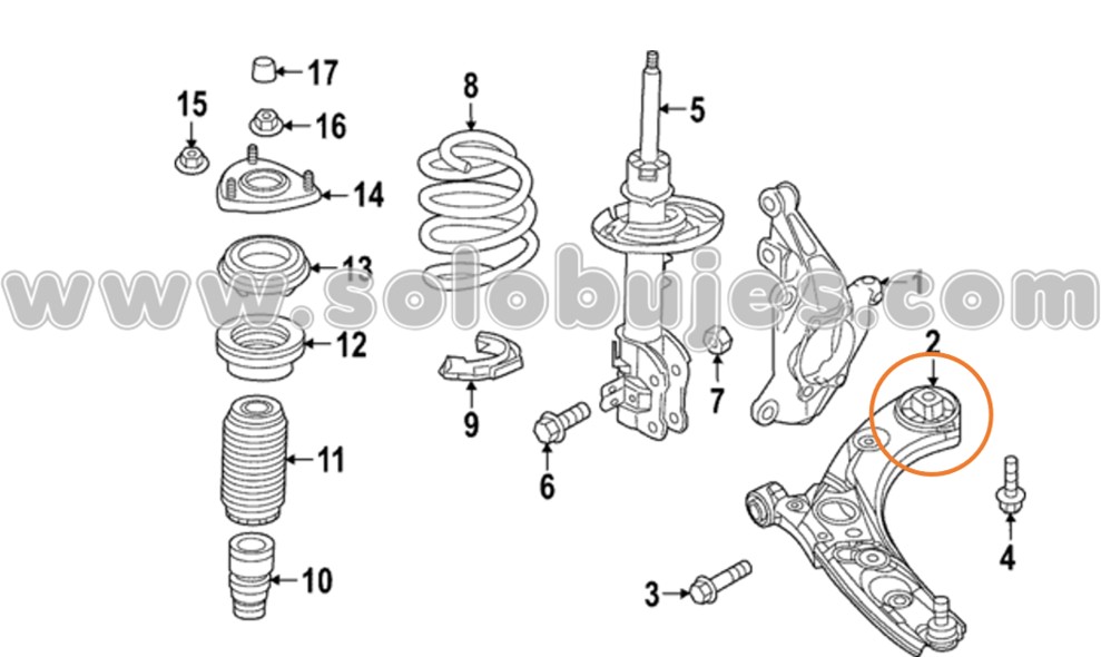 Buje puño CX50 2024 catalogo