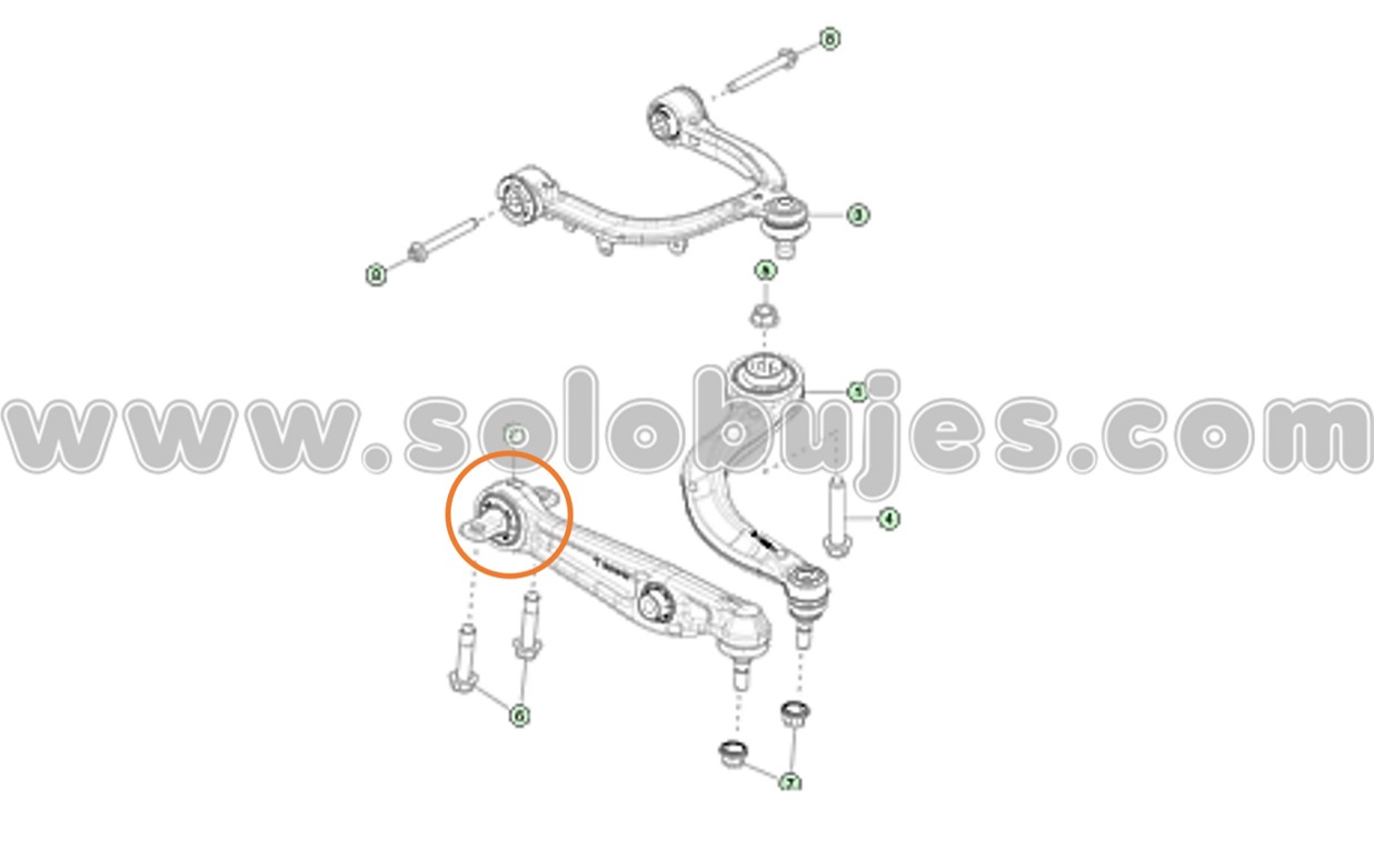 Buje corbatin model Y 2026 catalogo