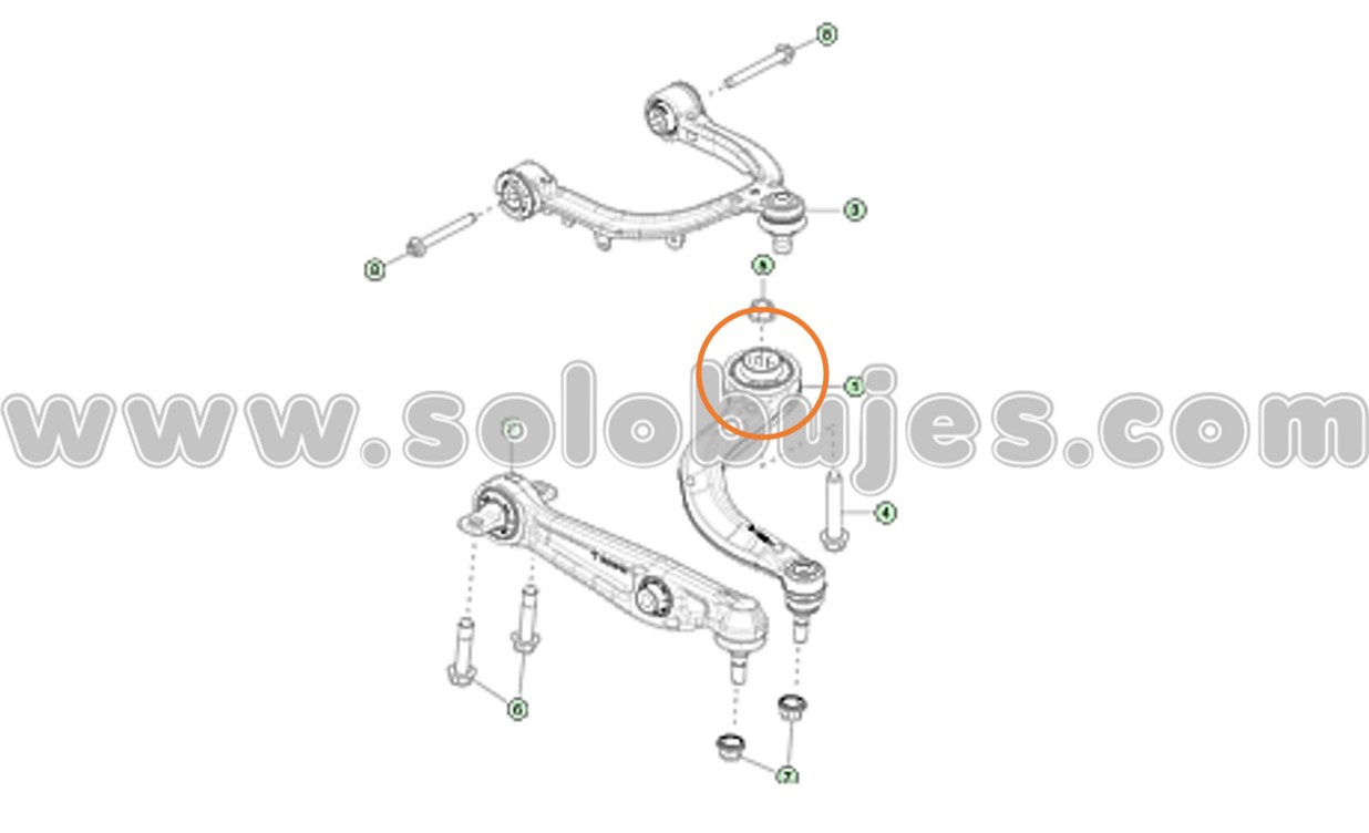 Buje tijera model Y 2026 catalogo