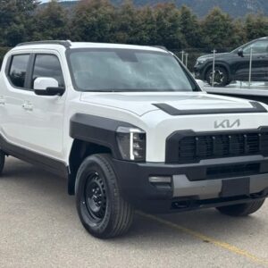 Tasman